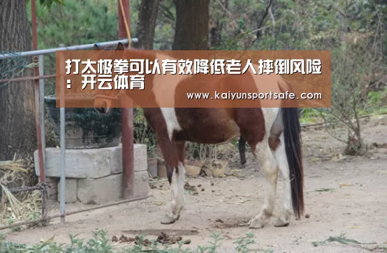打太极拳可以有效降低老人摔倒风险：开云体育