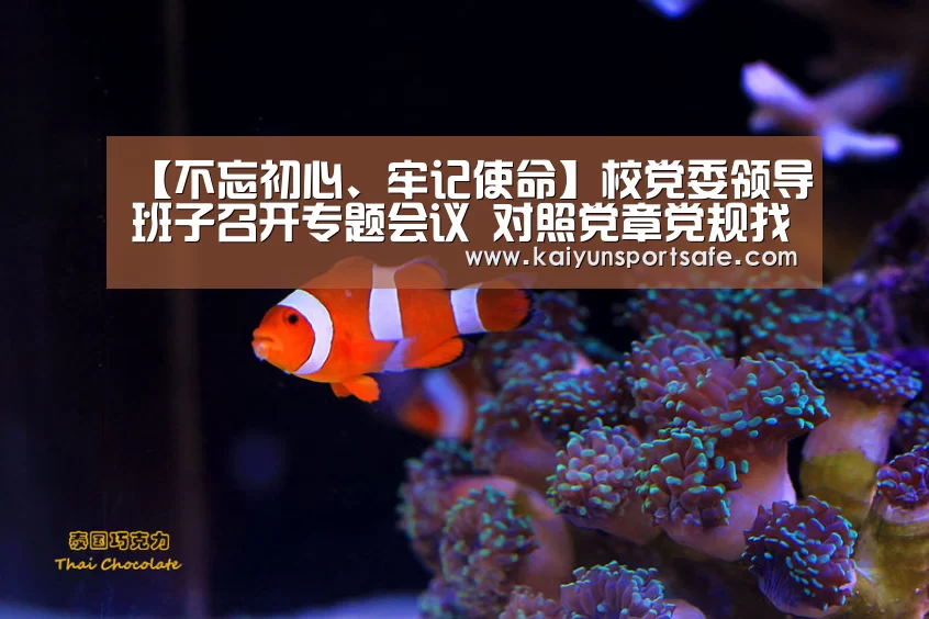 【不忘初心、牢记使命】校党委领导班子召开专题会议 对照党章党规找差距“开云导航”(图4) 开云平台