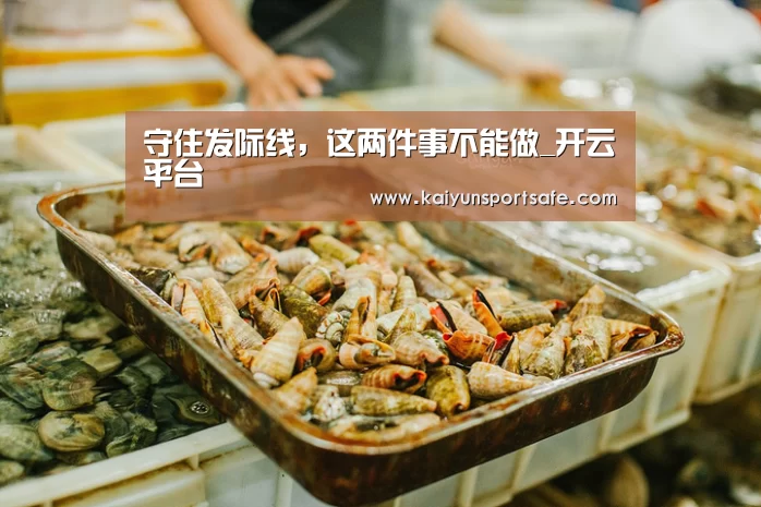 开云导航