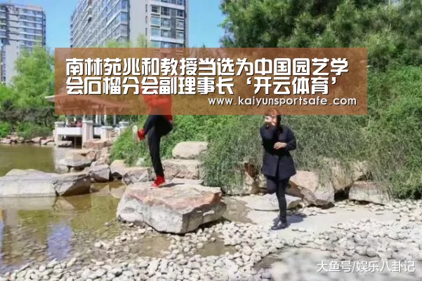 开云平台