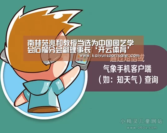 开云赛事