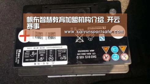 帆布智慧教育加盟机构介绍_开云赛事(图1) 开云导航