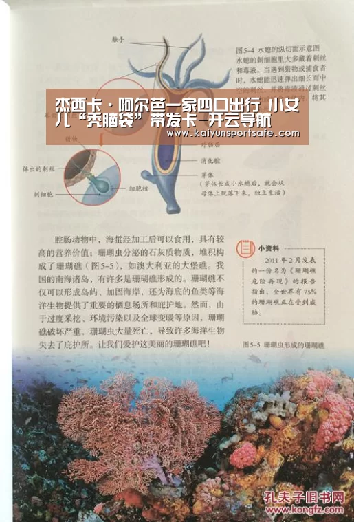 杰西卡·阿尔芭一家四口出行 小女儿“秃脑袋”带发卡-开云导航(图1) 开云赛事