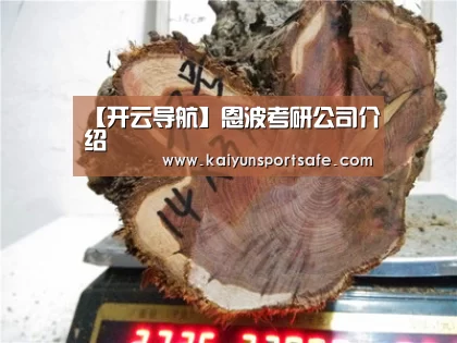 【开云导航】恩波考研公司介绍(图1) 开云赛事