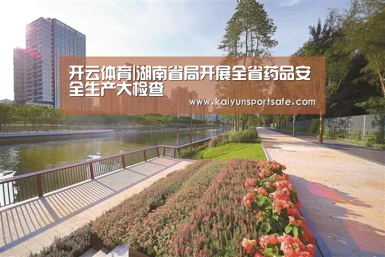 开云体育|湖南省局开展全省药品安全生产大检查(图3) 开云体育