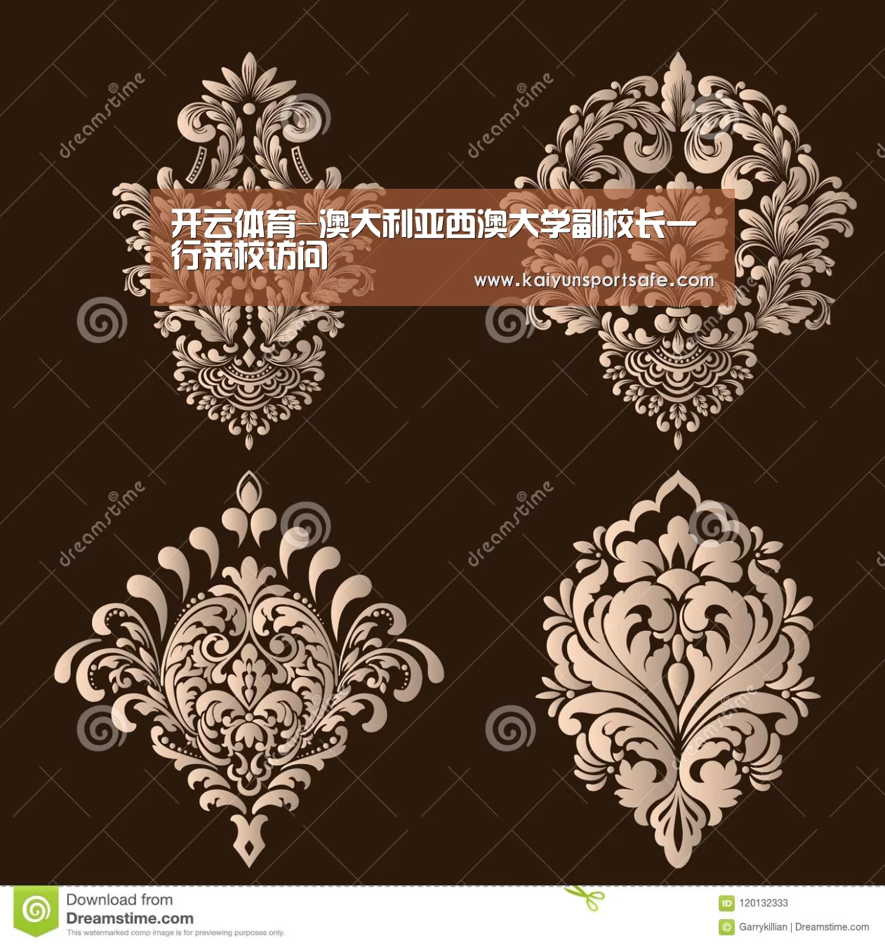 开云体育-澳大利亚西澳大学副校长一行来校访问(图4) 开云导航