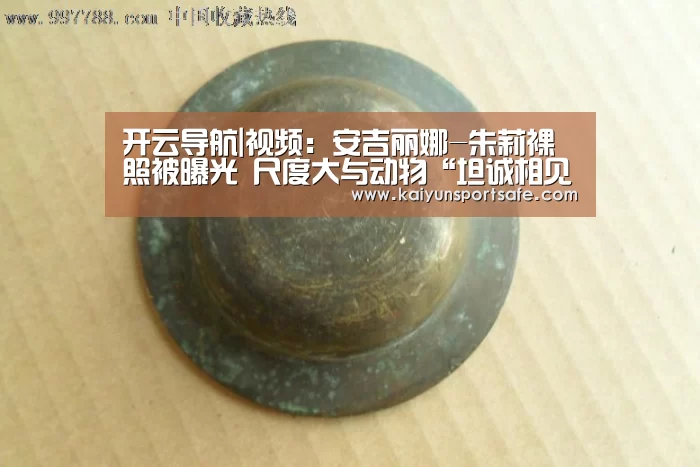 开云导航|视频:安吉丽娜-朱莉裸照被曝光 尺度大与动物“坦诚相见”(图2) 开云平台