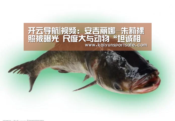开云导航|视频:安吉丽娜-朱莉裸照被曝光 尺度大与动物“坦诚相见”(图1) 开云导航